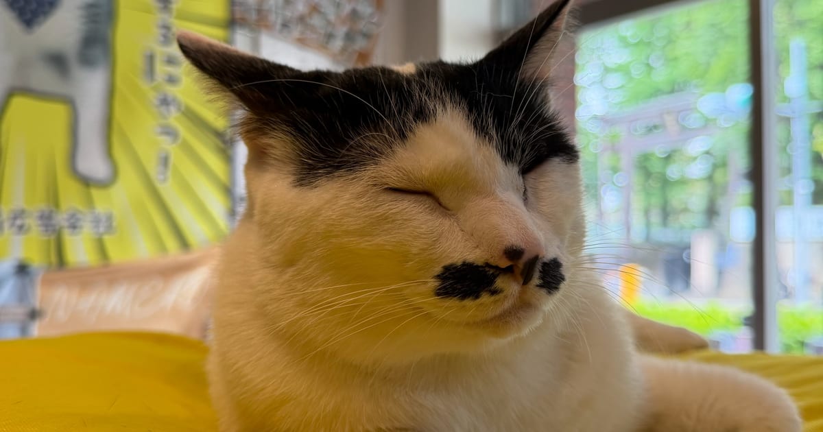 おさつ